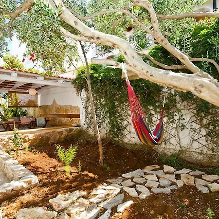 Katia * フヴァル